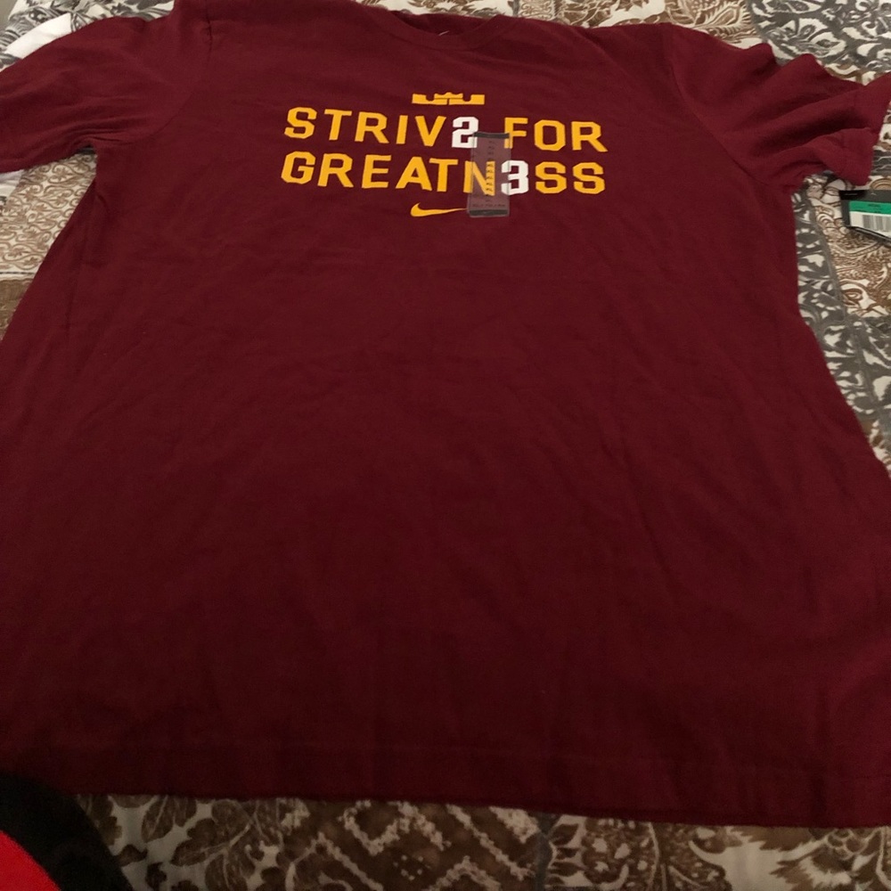 Nike Lebron “Strive for Greatness” T-shirt